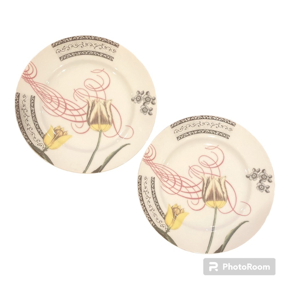 Anthropologie dinner dessert salad plates Tulip contemporary set of 2